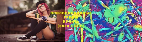 амф Приозерск