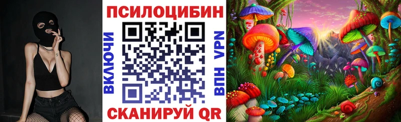 Псилоцибиновые грибы Cubensis  Купить закладки  Стародуб 